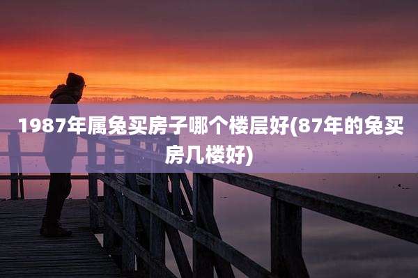 1987年属兔买房子哪个楼层好(87年的兔买房几楼好)
