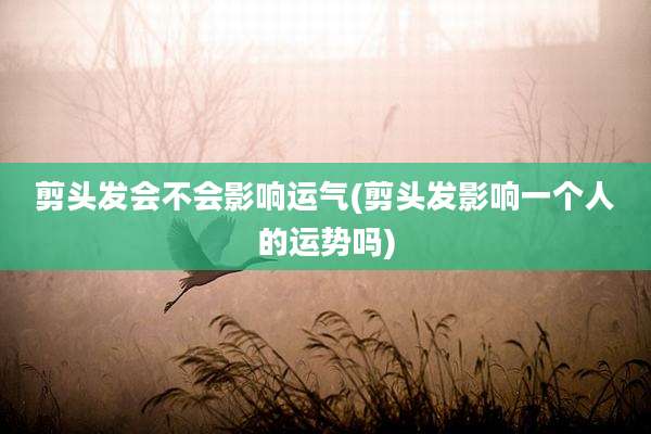 剪头发会不会影响运气(剪头发影响一个人的运势吗)