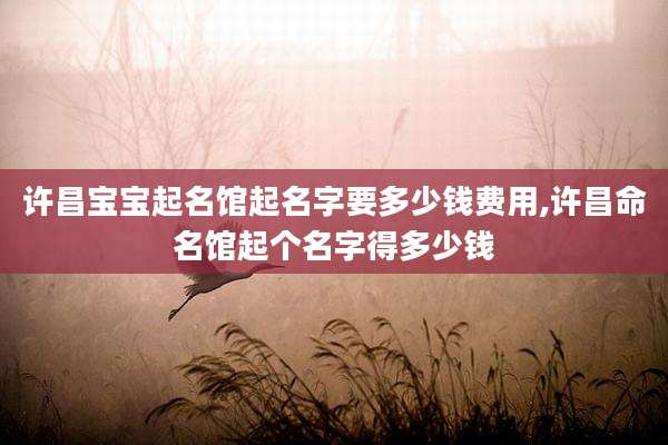 许昌宝宝起名馆起名字要多少钱费用,许昌命名馆起个名字得多少钱
