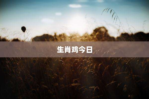 生肖鸡今日