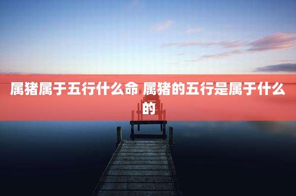 属猪属于五行什么命 属猪的五行是属于什么的