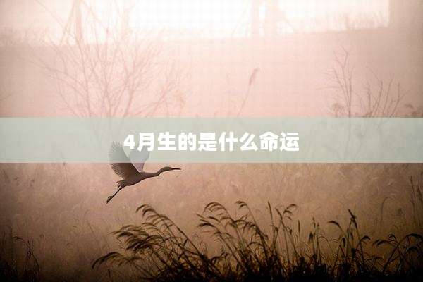 4月生的是什么命运