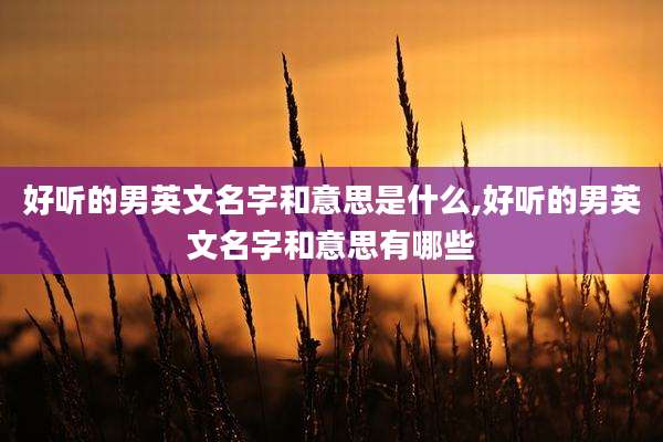 好听的男英文名字和意思是什么,好听的男英文名字和意思有哪些