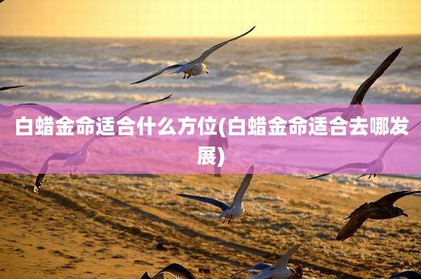 白蜡金命适合什么方位(白蜡金命适合去哪发展)