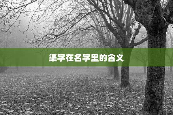 渠字在名字里的含义