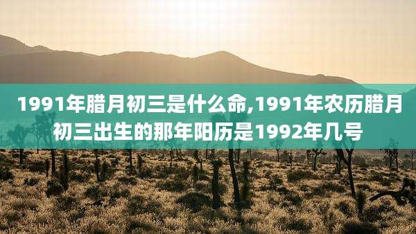 1991年腊月初三是什么命,1991年农历腊月初三出生的那年阳历是1992年几号
