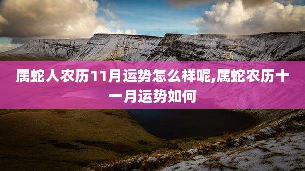 属蛇人农历11月运势怎么样呢,属蛇农历十一月运势如何
