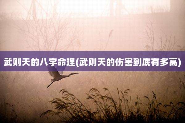 武则天的八字命理(武则天的伤害到底有多高)