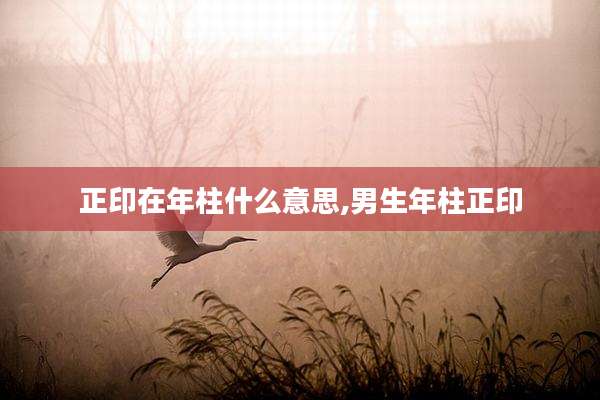 正印在年柱什么意思,男生年柱正印