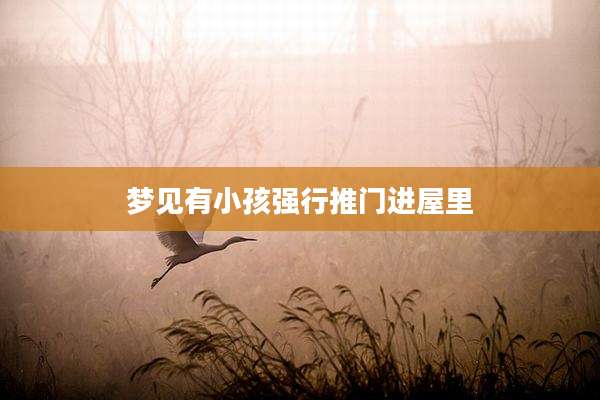 梦见有小孩强行推门进屋里