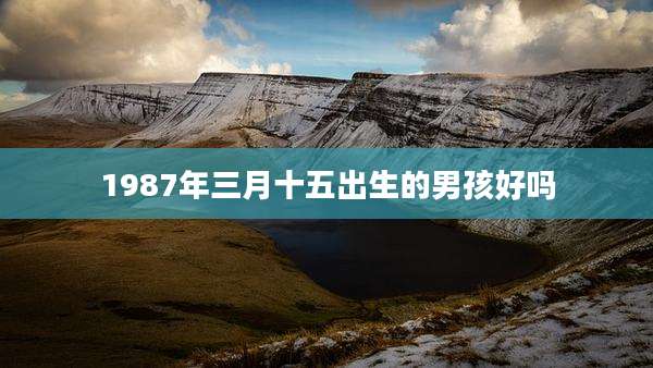 1987年三月十五出生的男孩好吗