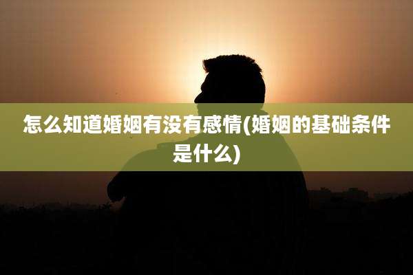 怎么知道婚姻有没有感情(婚姻的基础条件是什么)