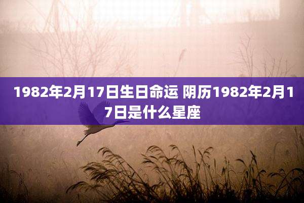 1982年2月17日生日命运 阴历1982年2月17日是什么星座