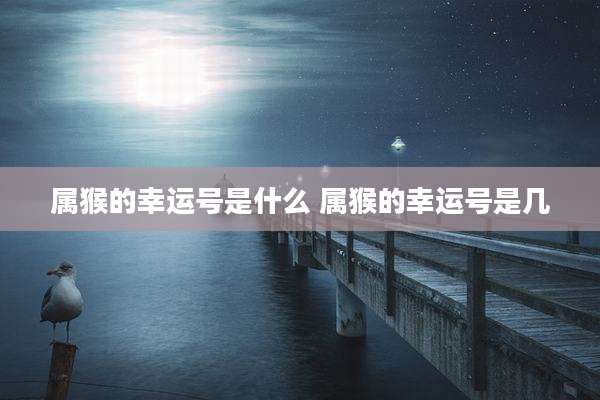 属猴的幸运号是什么 属猴的幸运号是几