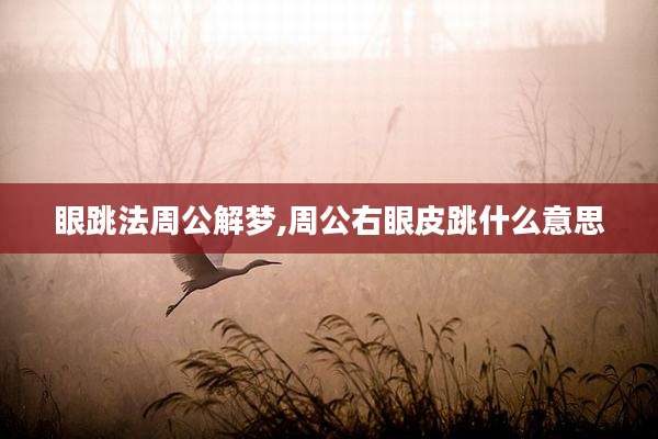 眼跳法周公解梦,周公右眼皮跳什么意思