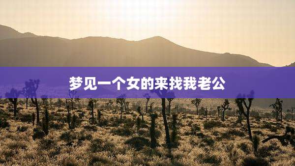 梦见一个女的来找我老公