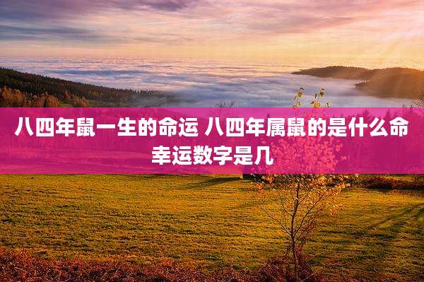八四年鼠一生的命运 八四年属鼠的是什么命幸运数字是几