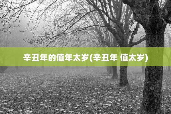 辛丑年的值年太岁(辛丑年 值太岁)