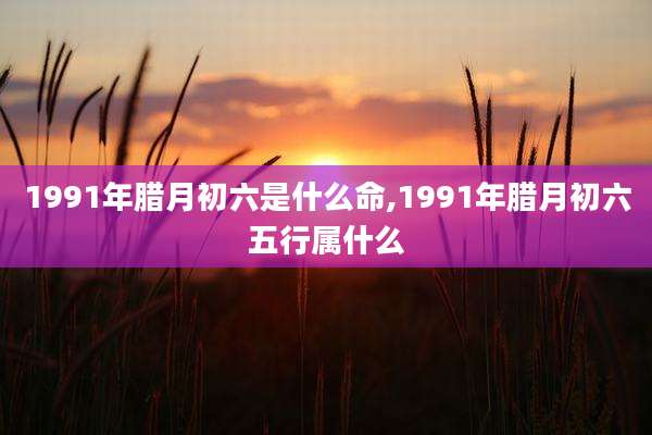 1991年腊月初六是什么命,1991年腊月初六五行属什么
