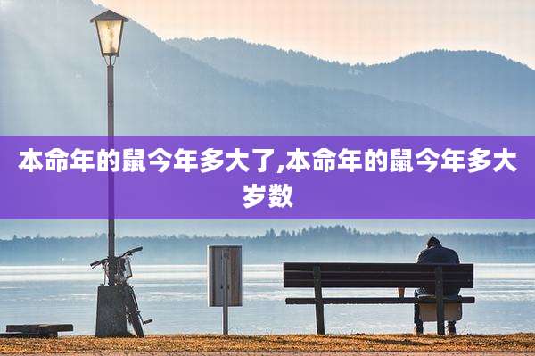 本命年的鼠今年多大了,本命年的鼠今年多大岁数