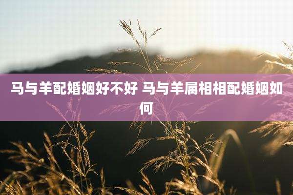 马与羊配婚姻好不好 马与羊属相相配婚姻如何
