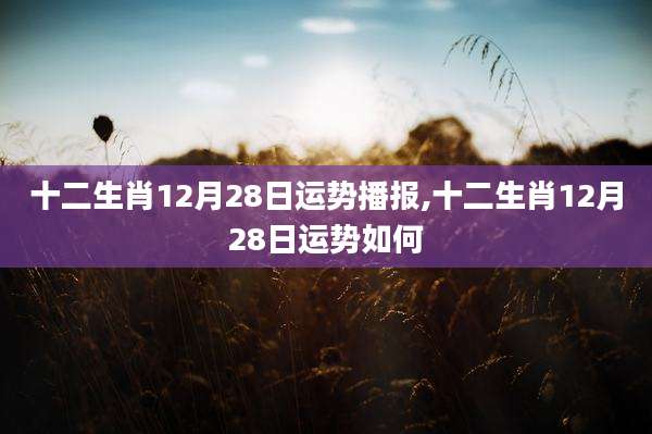 十二生肖12月28日运势播报,十二生肖12月28日运势如何