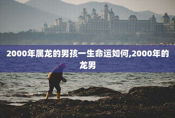 2000年属龙的男孩一生命运如何,2000年的龙男