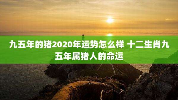 九五年的猪2020年运势怎么样 十二生肖九五年属猪人的命运