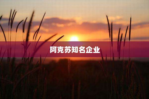 阿克苏知名企业