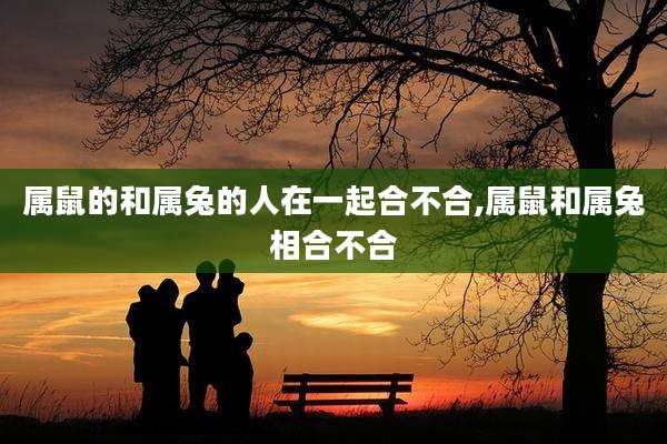 属鼠的和属兔的人在一起合不合,属鼠和属兔相合不合