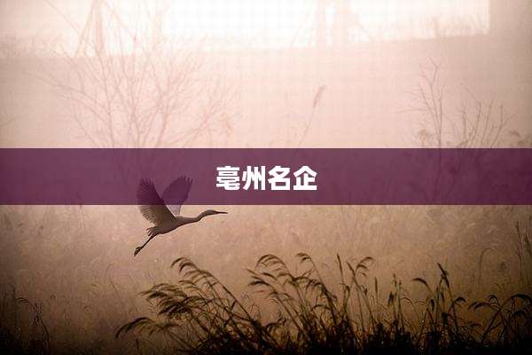亳州名企