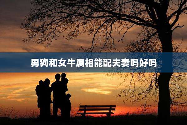 男狗和女牛属相能配夫妻吗好吗