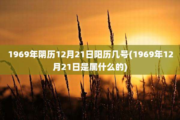 1969年阴历12月21日阳历几号(1969年12月21日是属什么的)