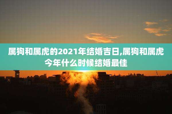 属狗和属虎的2021年结婚吉日,属狗和属虎今年什么时候结婚最佳