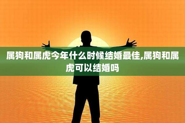 属狗和属虎今年什么时候结婚最佳,属狗和属虎可以结婚吗