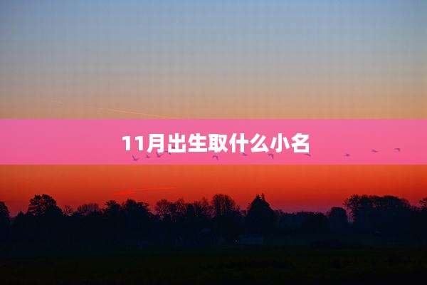 11月出生取什么小名