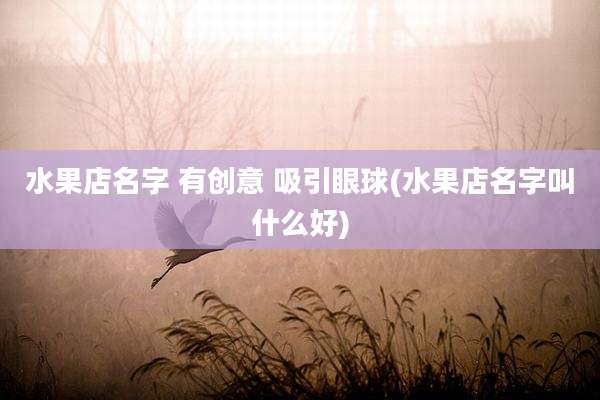 水果店名字 有创意 吸引眼球(水果店名字叫什么好)
