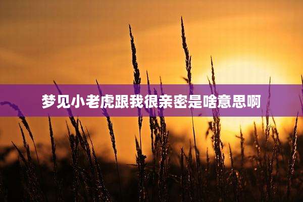 梦见小老虎跟我很亲密是啥意思啊