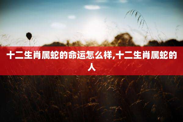 十二生肖属蛇的命运怎么样,十二生肖属蛇的人