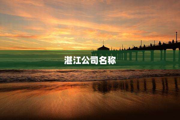 湛江公司名称