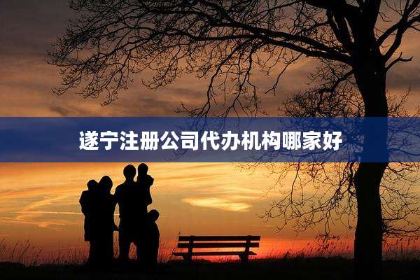 遂宁注册公司代办机构哪家好
