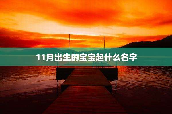 11月出生的宝宝起什么名字