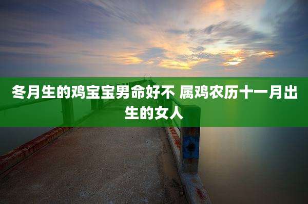冬月生的鸡宝宝男命好不 属鸡农历十一月出生的女人