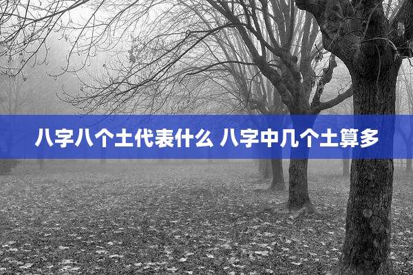 八字八个土代表什么 八字中几个土算多