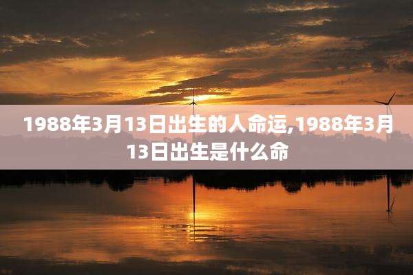 1988年3月13日出生的人命运,1988年3月13日出生是什么命