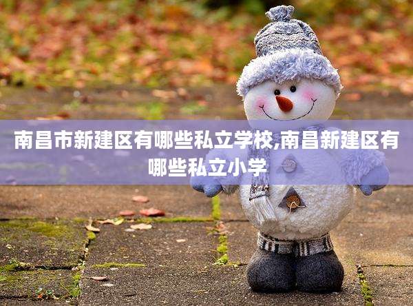 南昌市新建区有哪些私立学校,南昌新建区有哪些私立小学