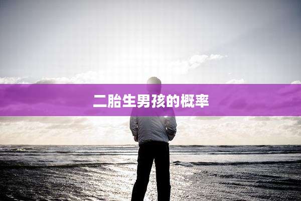 二胎生男孩的概率