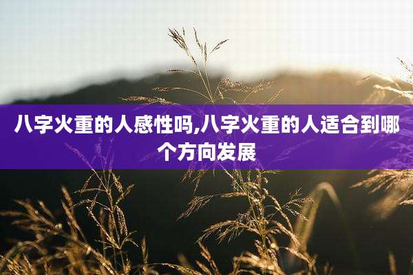 八字火重的人感性吗,八字火重的人适合到哪个方向发展