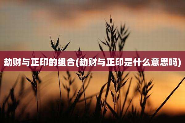 劫财与正印的组合(劫财与正印是什么意思吗)