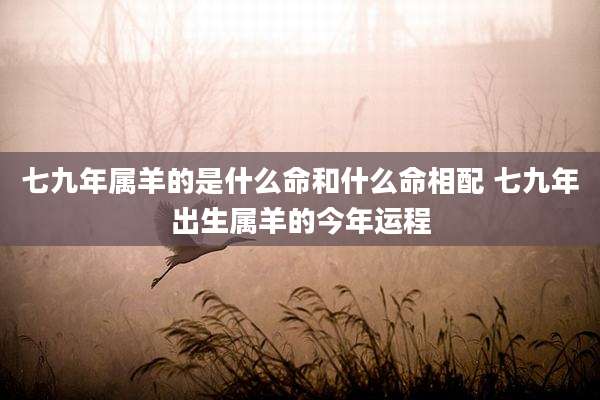 七九年属羊的是什么命和什么命相配 七九年出生属羊的今年运程